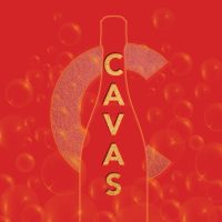 Outline of a Champagne bottle with bubbles and the CAVAS logo